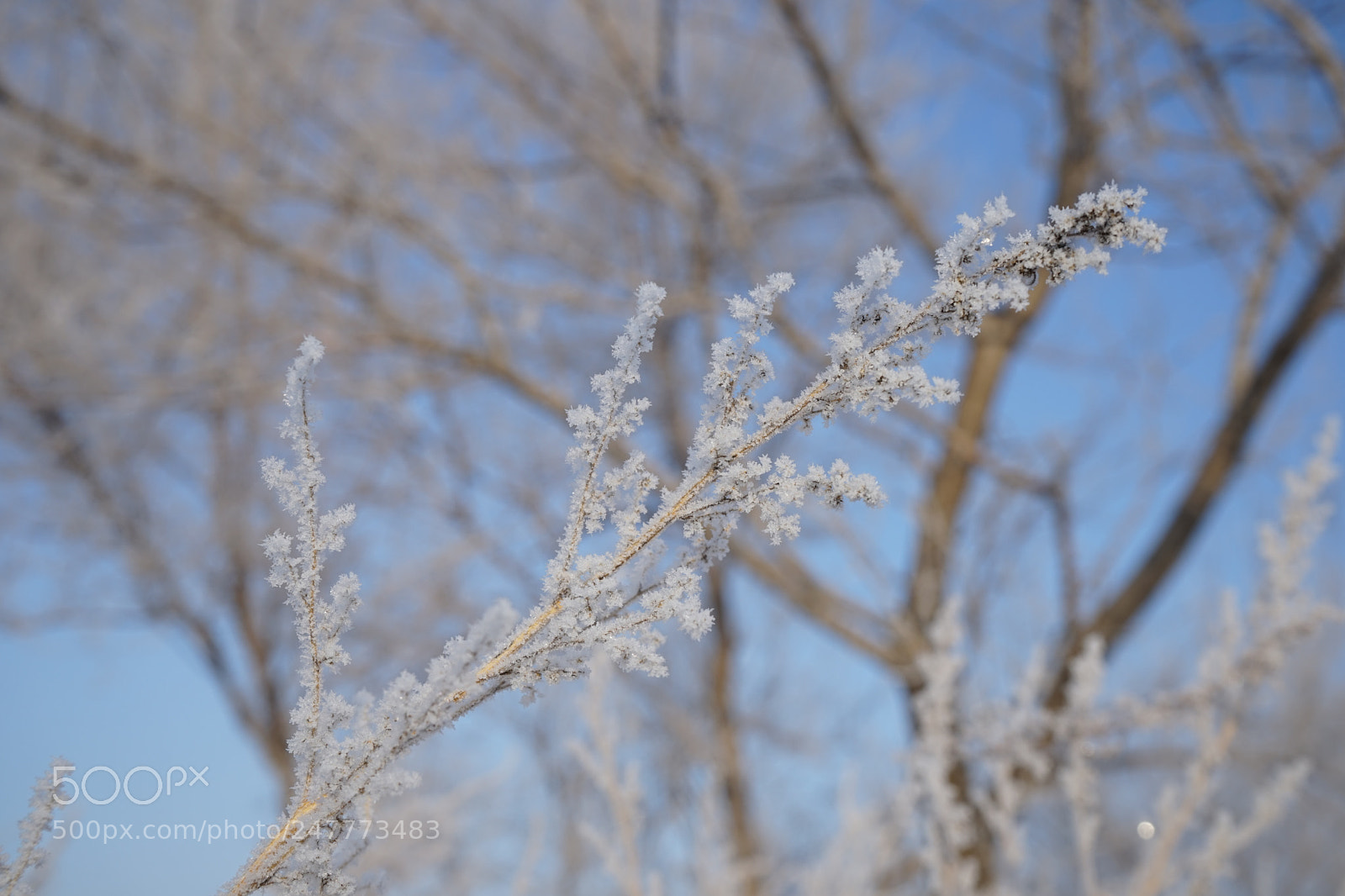 Sony a7 sample photo. Rime photography