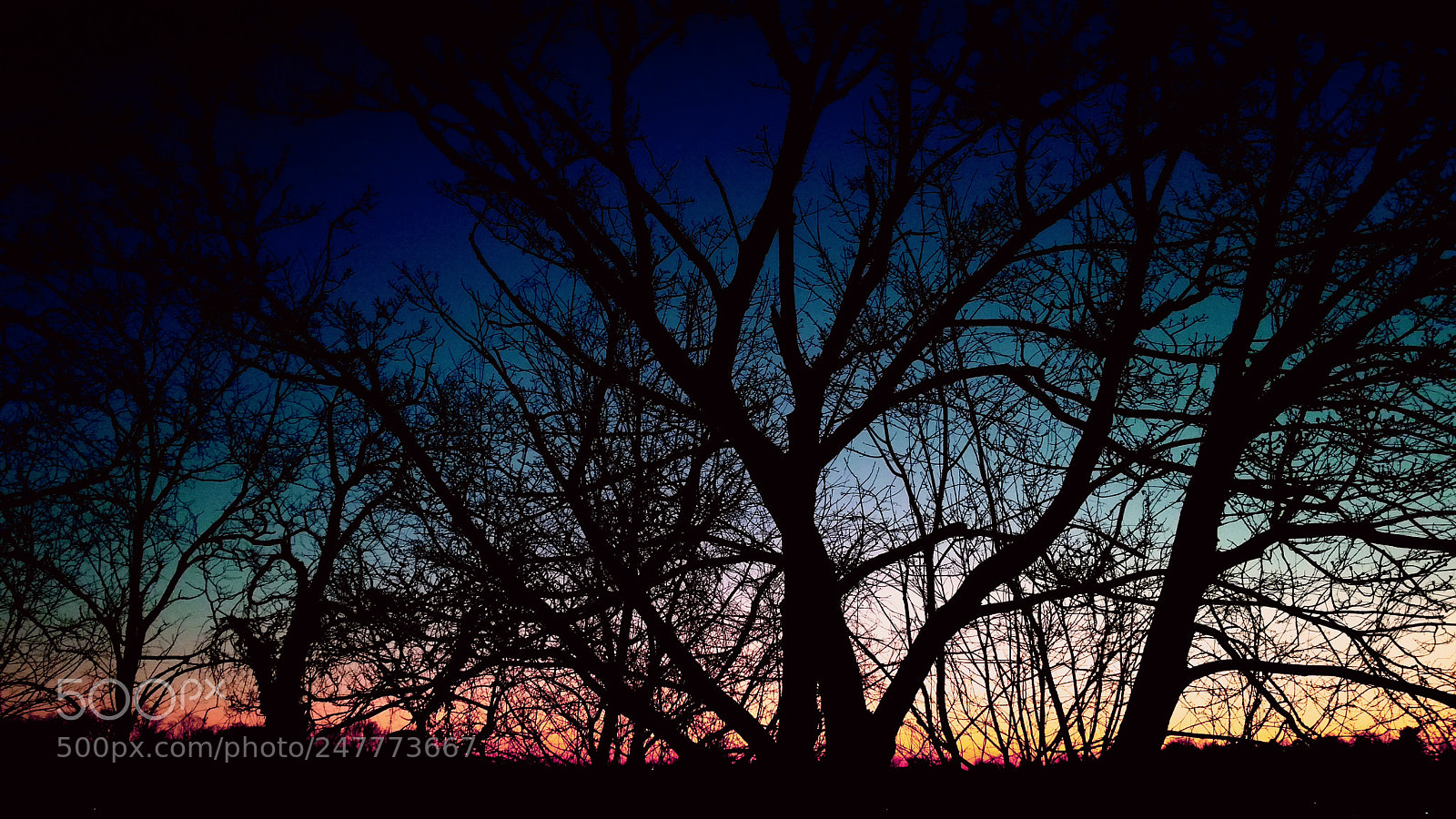 Samsung Galaxy Note4 sample photo. Dawning of spring photography