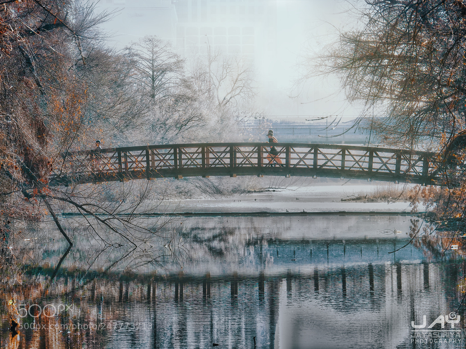 Panasonic Lumix DC-GH5 sample photo. Foggy morn by jayjayasuriya photography