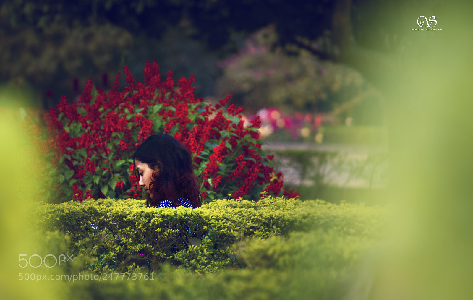 Canon EOS 7D sample photo. Philosopher photography