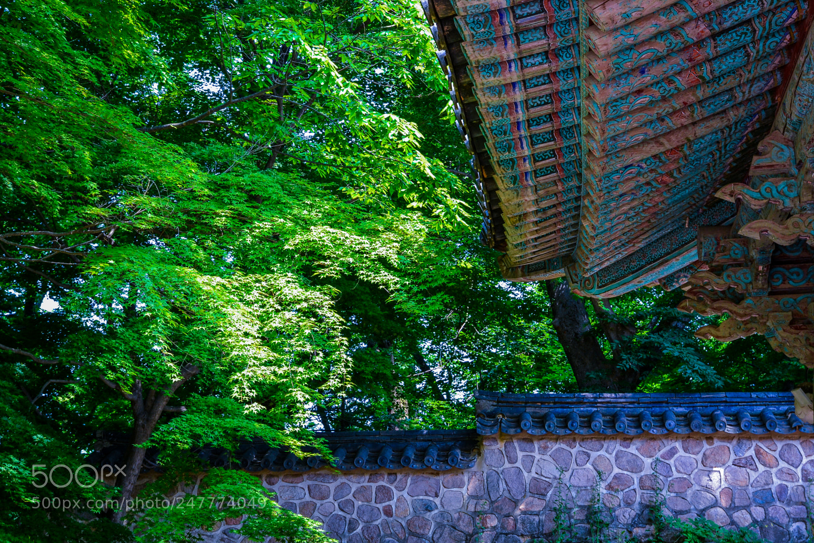 Nikon D3100 sample photo. Harmony of temple and photography