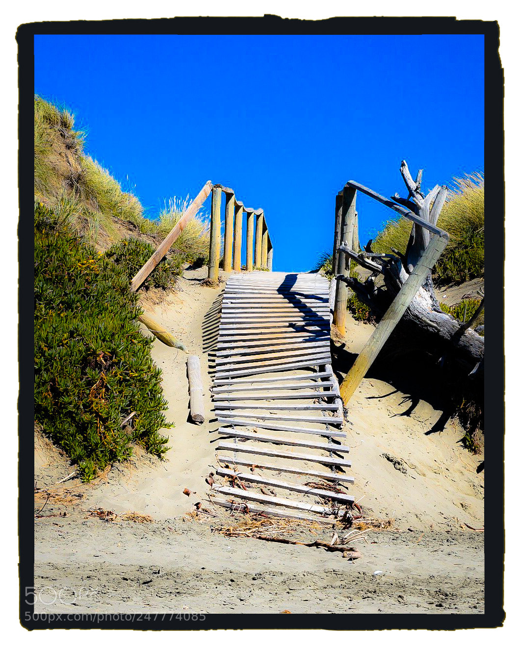 Nikon D5500 sample photo. The climb from the photography
