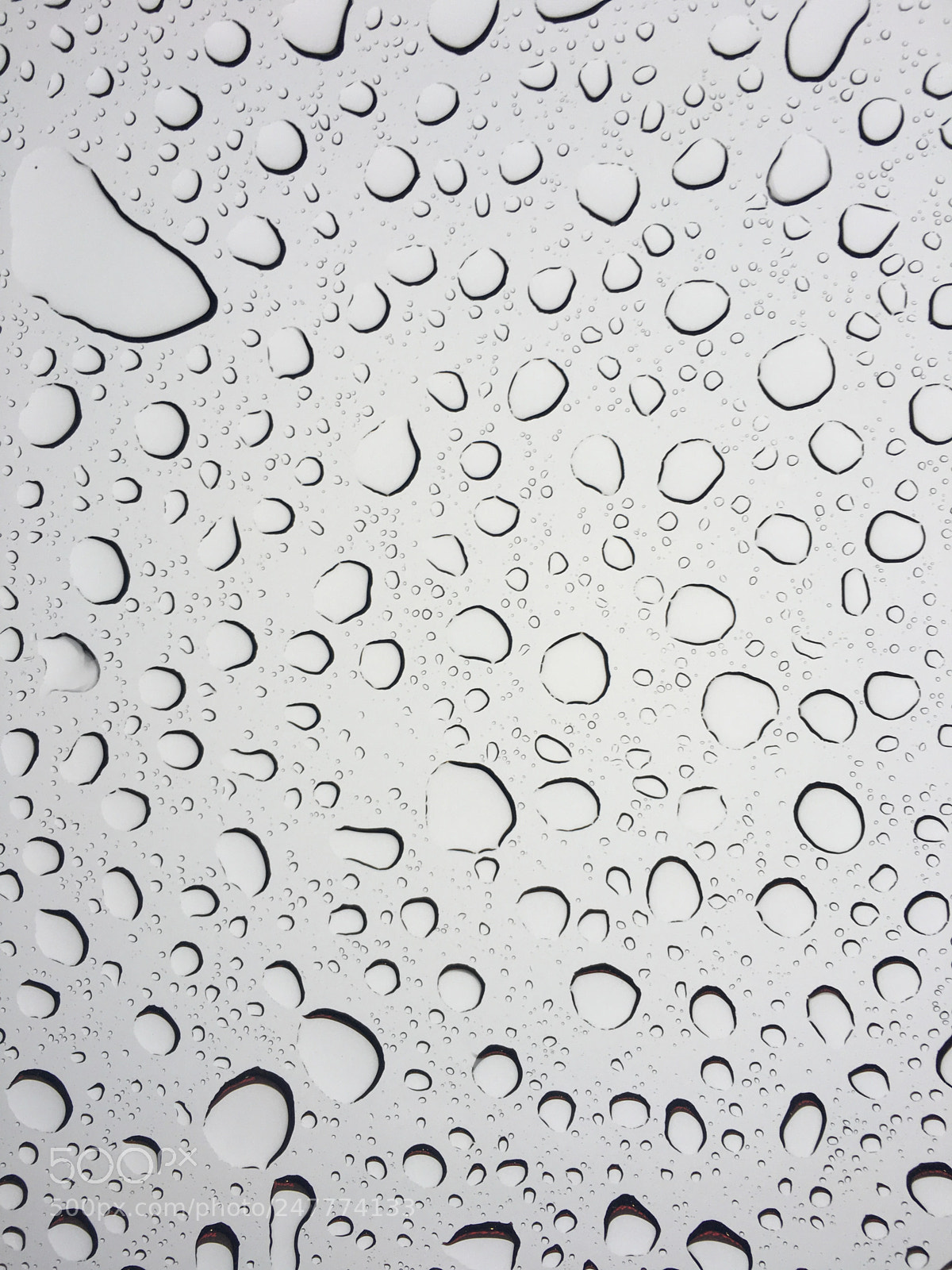 Apple iPhone 6s sample photo. Rain drops photography