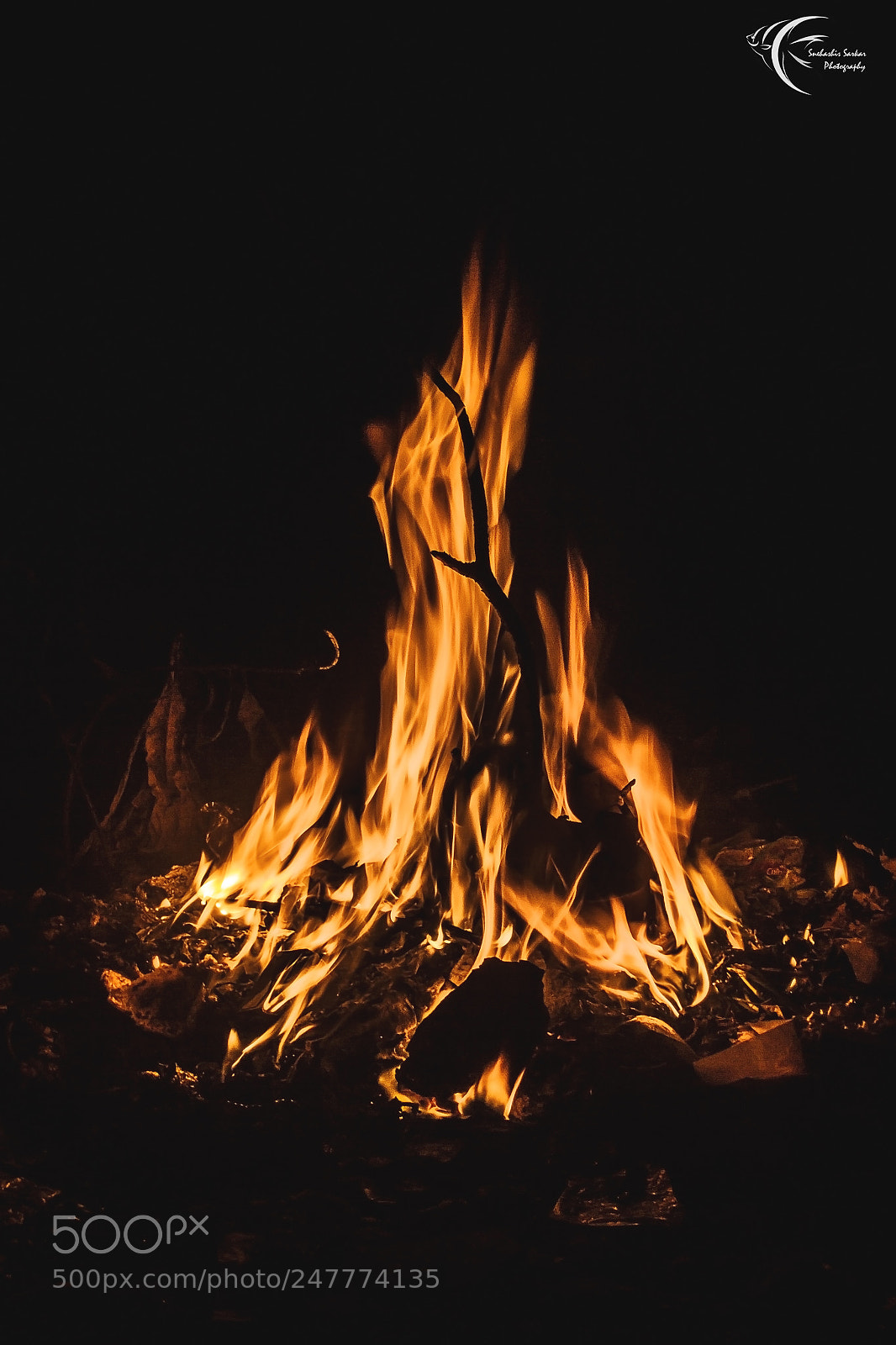 Canon EOS 700D (EOS Rebel T5i / EOS Kiss X7i) sample photo. Holika photography