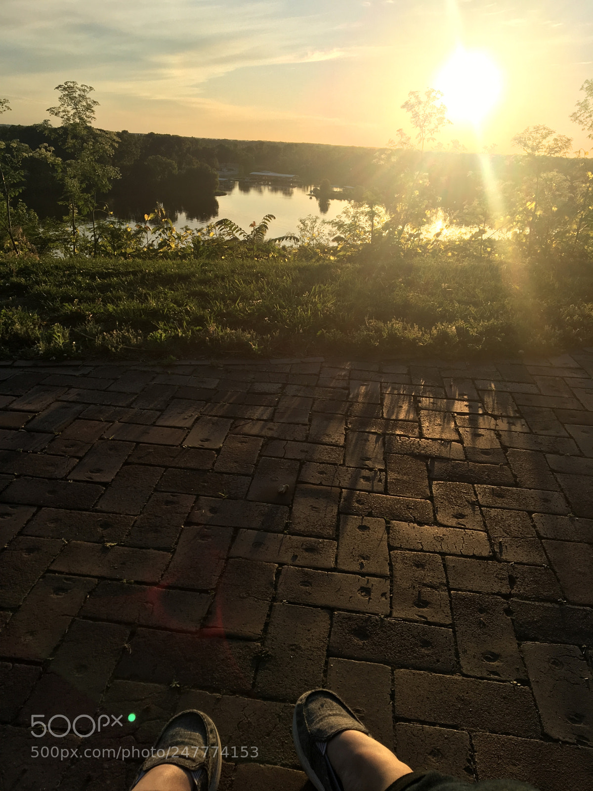 Apple iPhone 6s sample photo. Untitled photography