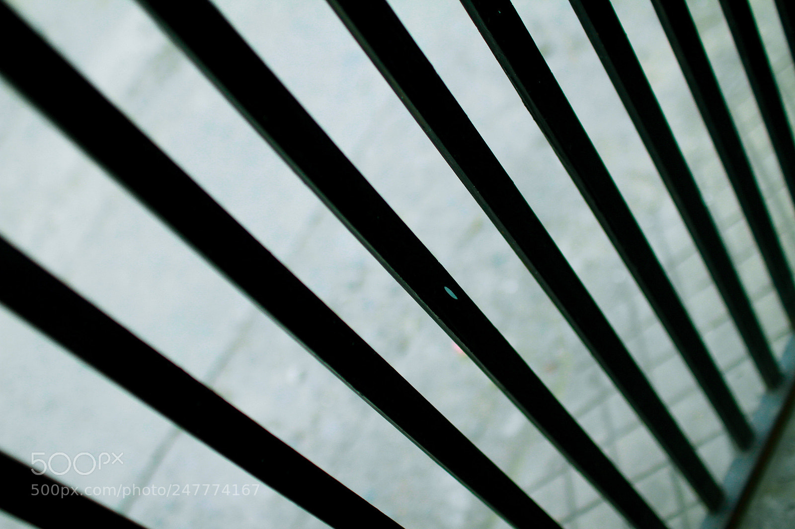 Canon EOS 7D sample photo. 35544683720.jpg photography