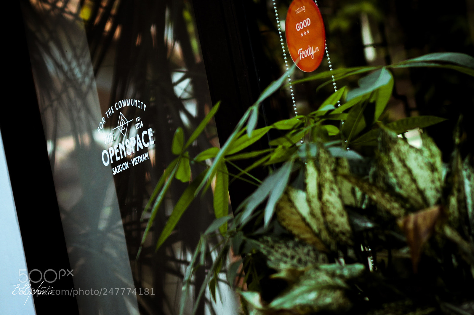Canon EOS 7D sample photo. 33589071994.jpg photography
