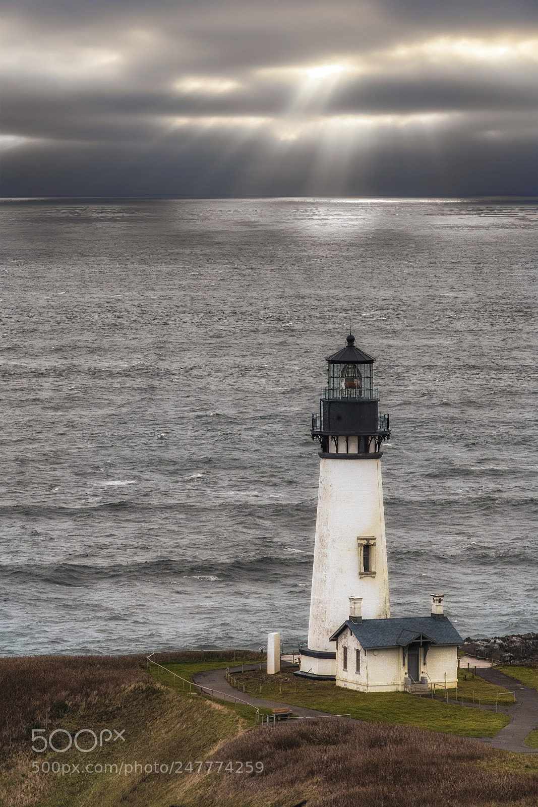 Canon EOS-1D X Mark II sample photo. Heceta head photography