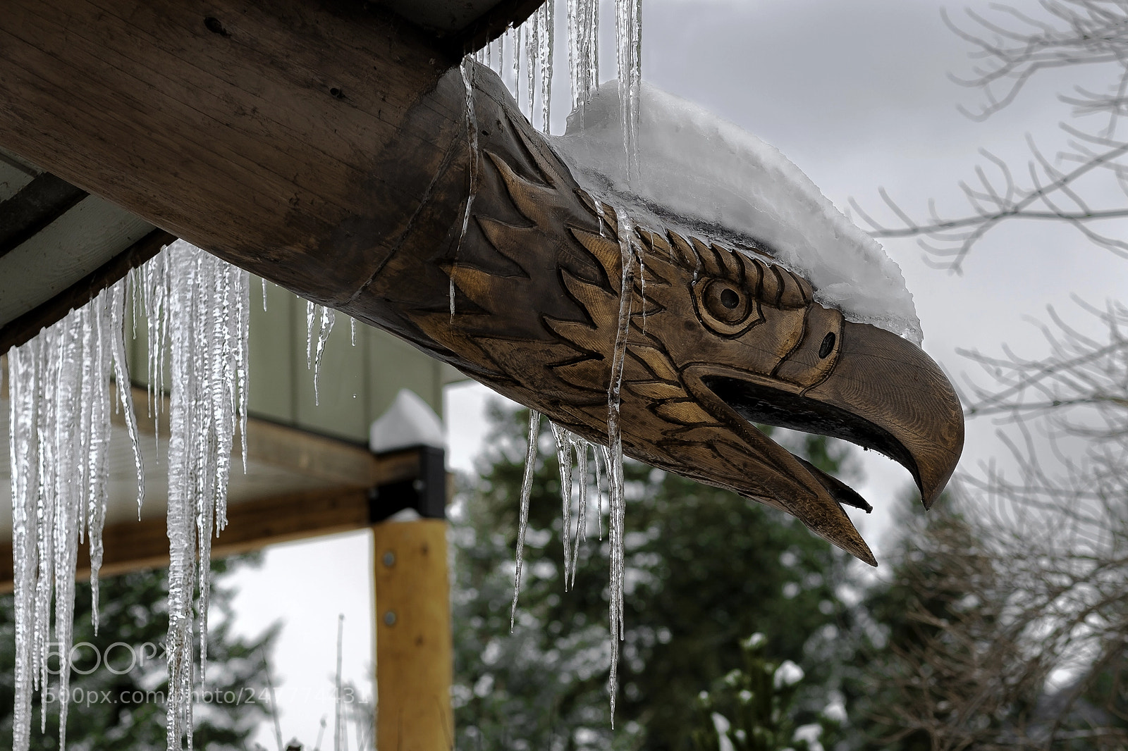 Fujifilm X-T2 sample photo. Snow cap photography
