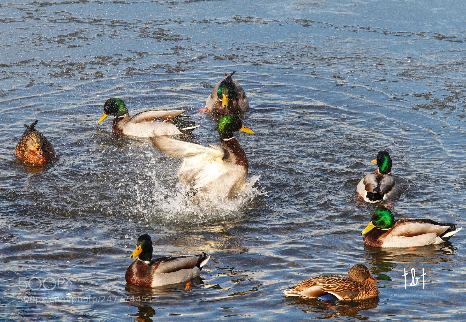 Canon EOS 7D sample photo. Untitled photography