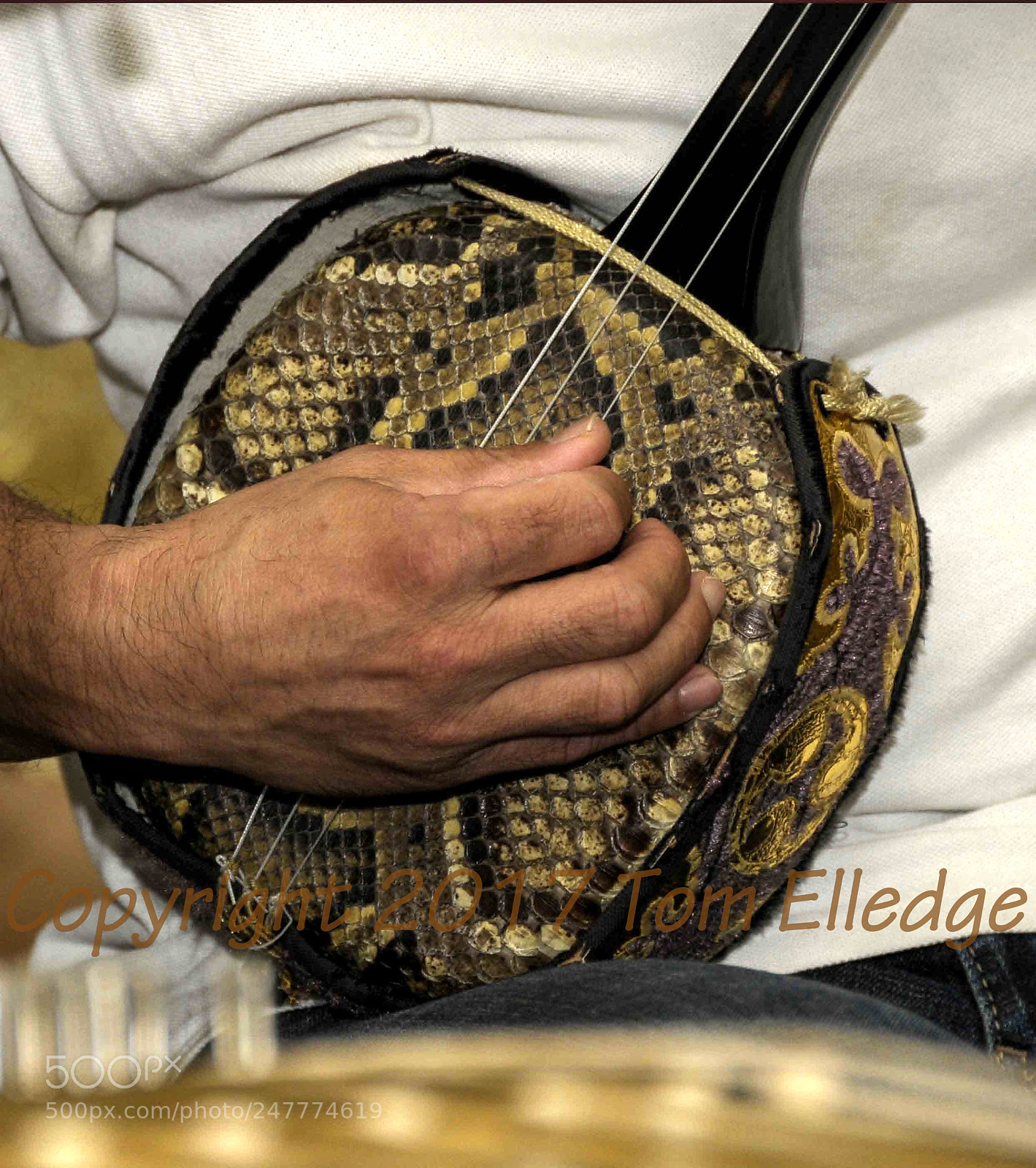 Nikon D300 sample photo. Snake skin banjo wm photography