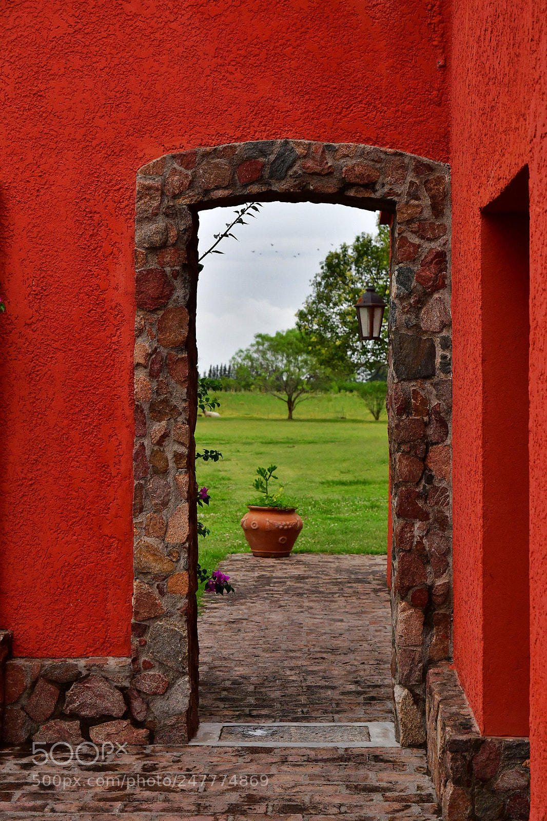 Nikon D500 sample photo. Portal photography