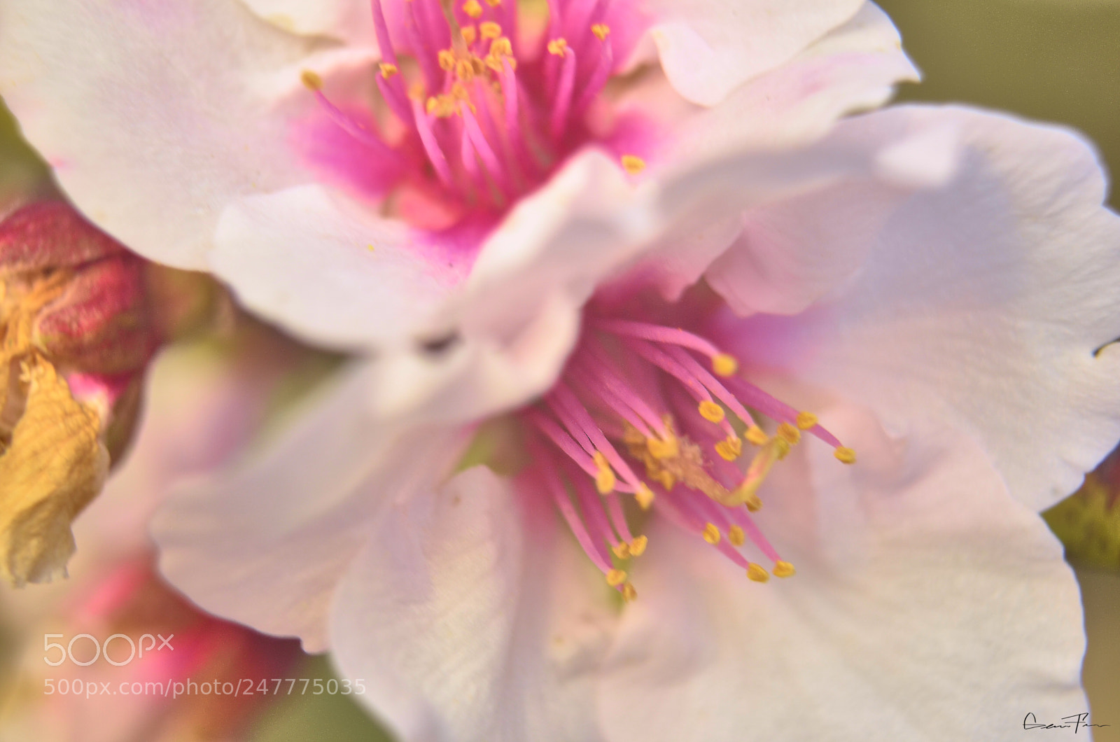 Nikon D5100 sample photo. Untitled photography