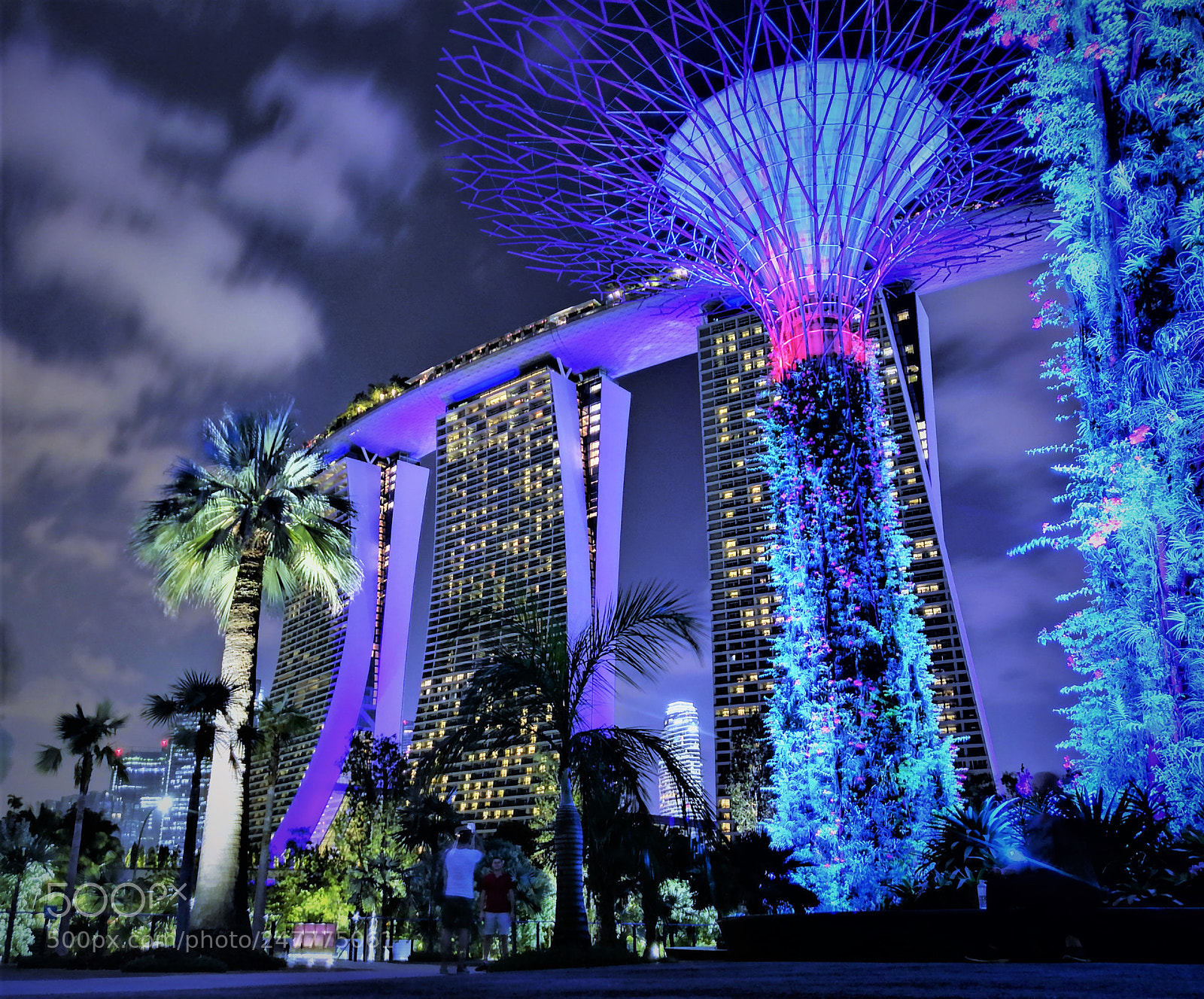HUAWEI P10 Plus sample photo. Gardens in singapore photography
