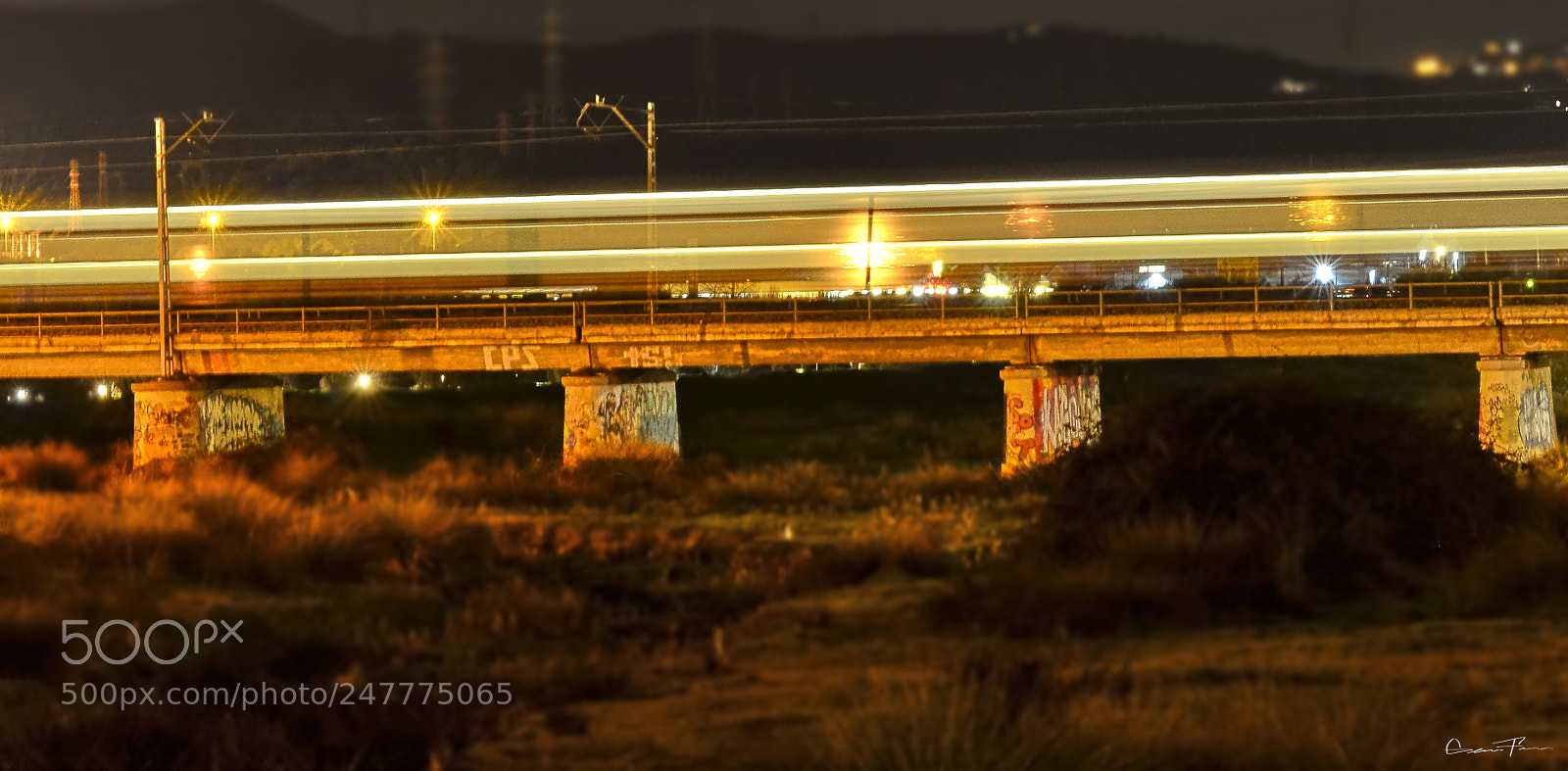 Nikon D5100 sample photo. Untitled photography