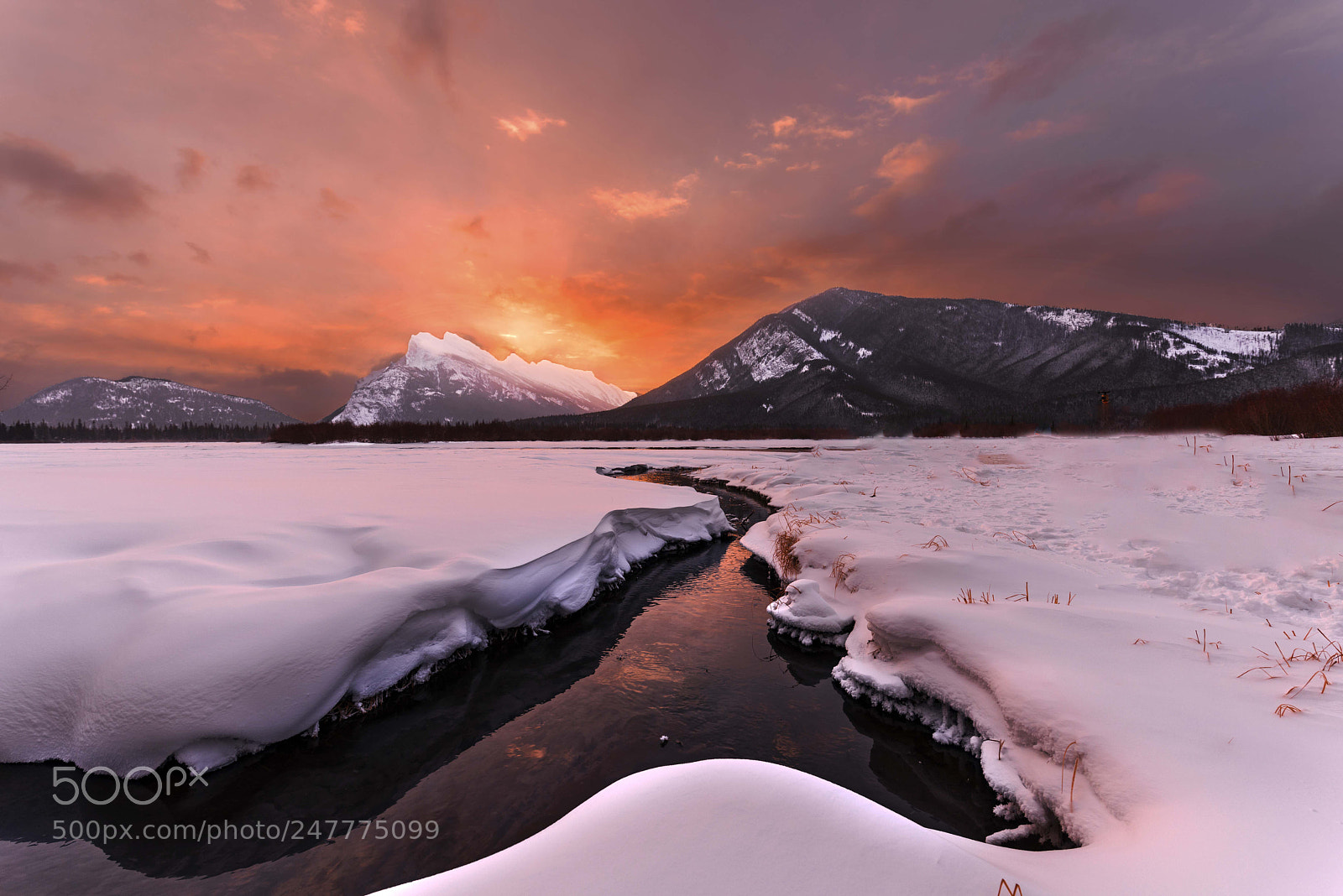 Nikon D810 sample photo. Morning light, canada photography