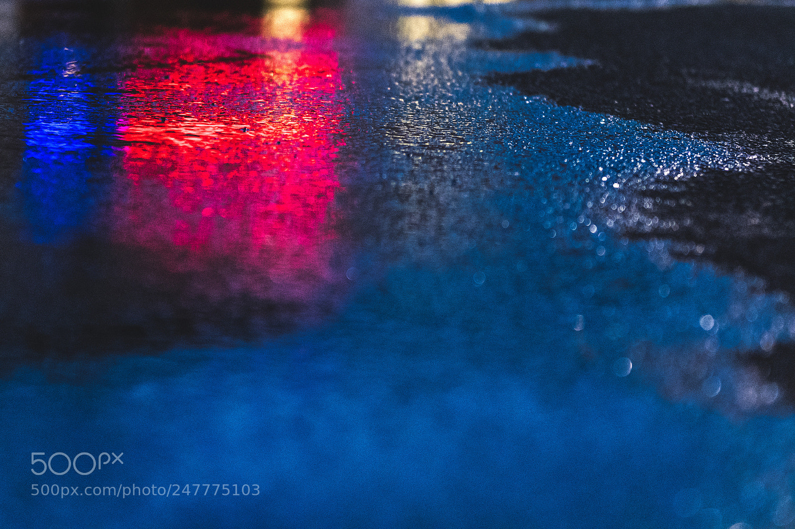 Nikon D500 sample photo. Reflections photography