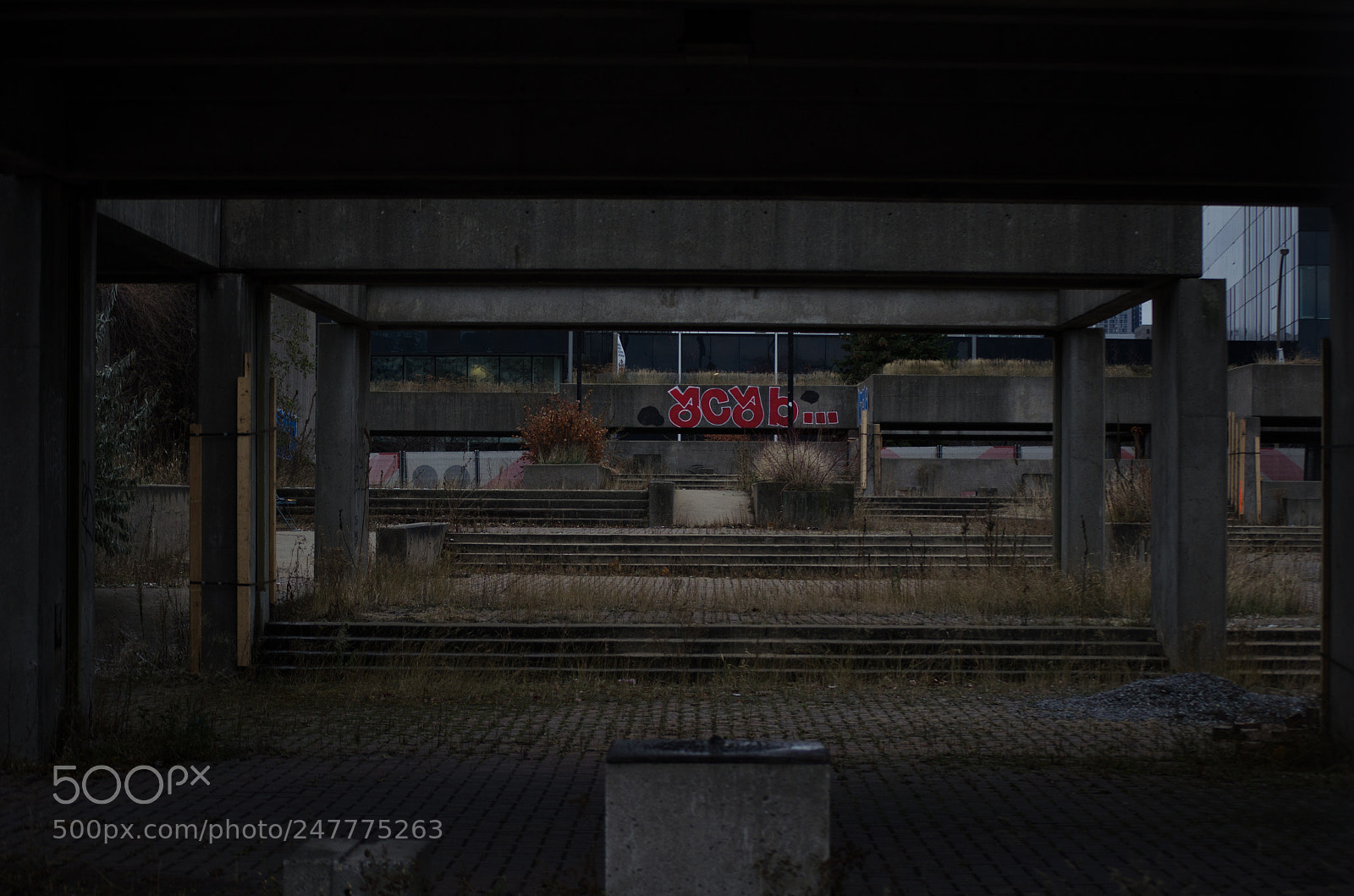 Nikon D5100 sample photo. Wasteland photography