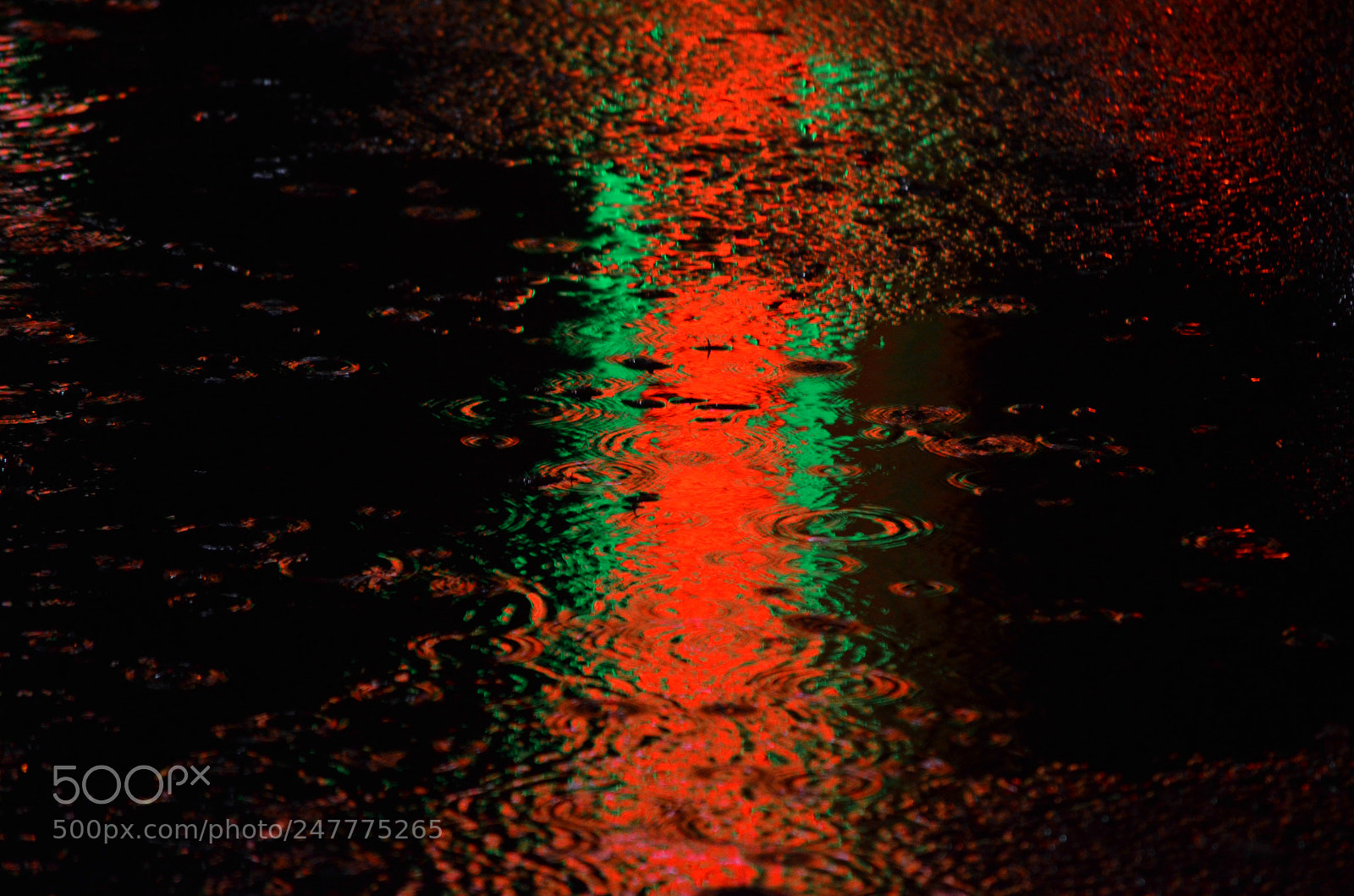 Nikon D5100 sample photo. Neon photography