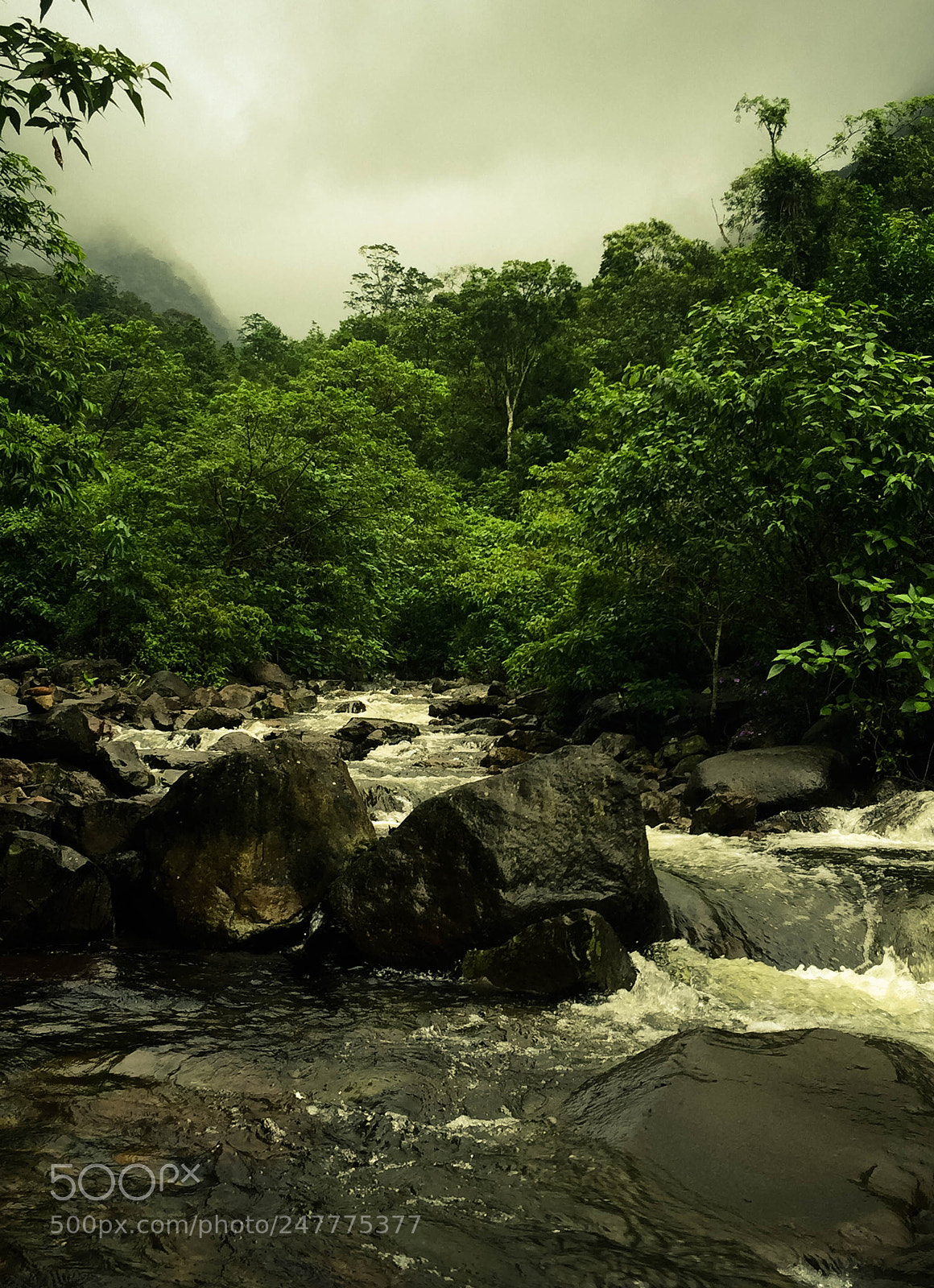 Apple iPhone 6 Plus sample photo. Santa catarina,brazil photography