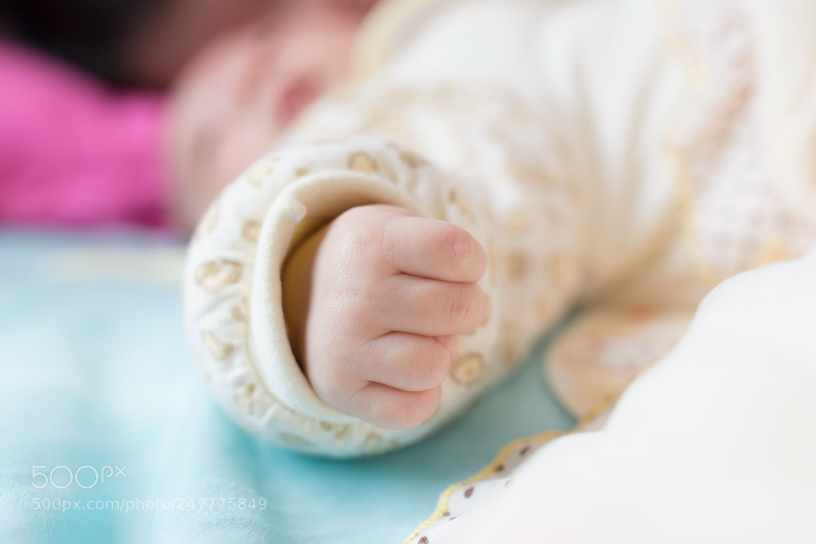 Nikon D800 sample photo. 家有小儿初成长 photography