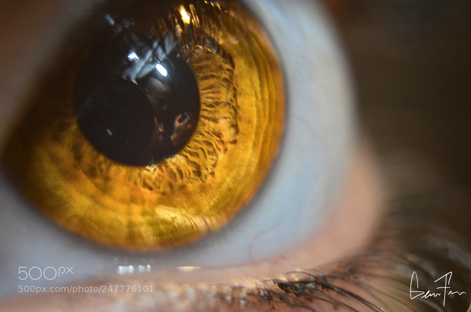 Nikon D5100 sample photo. Untitled photography