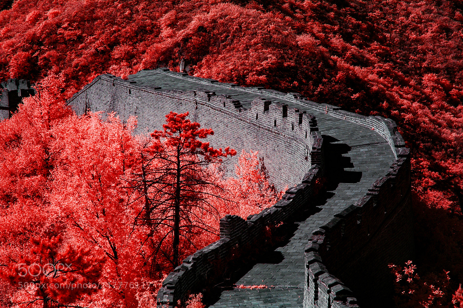 Nikon D70s sample photo. Infrared photography photography