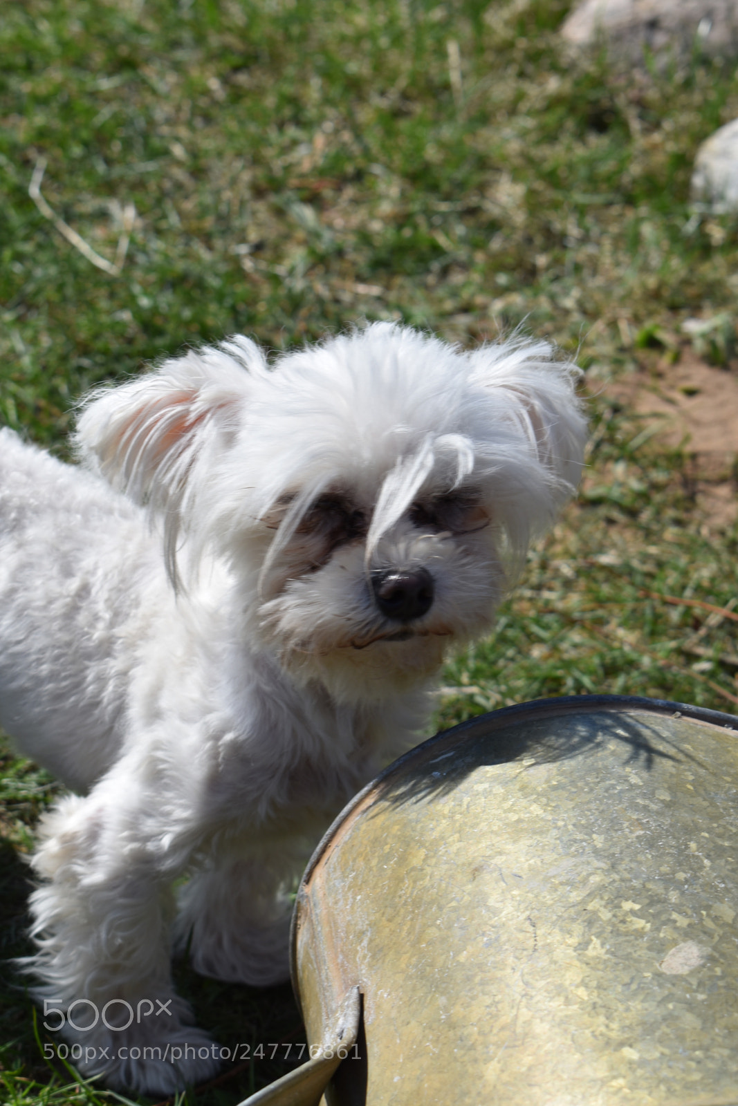 Nikon D3400 sample photo. Untitled photography