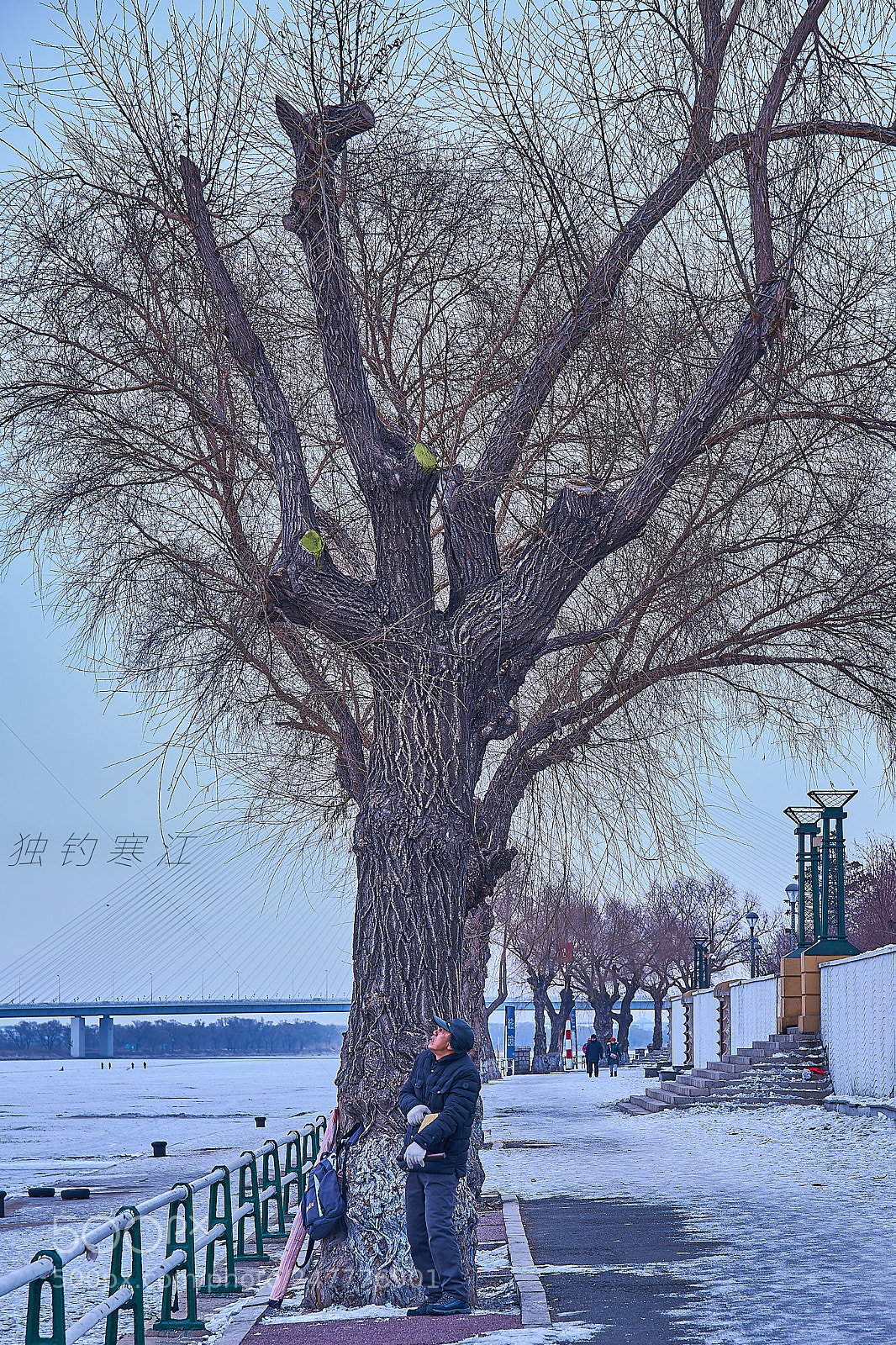 Sony a7R II sample photo. Untitled photography