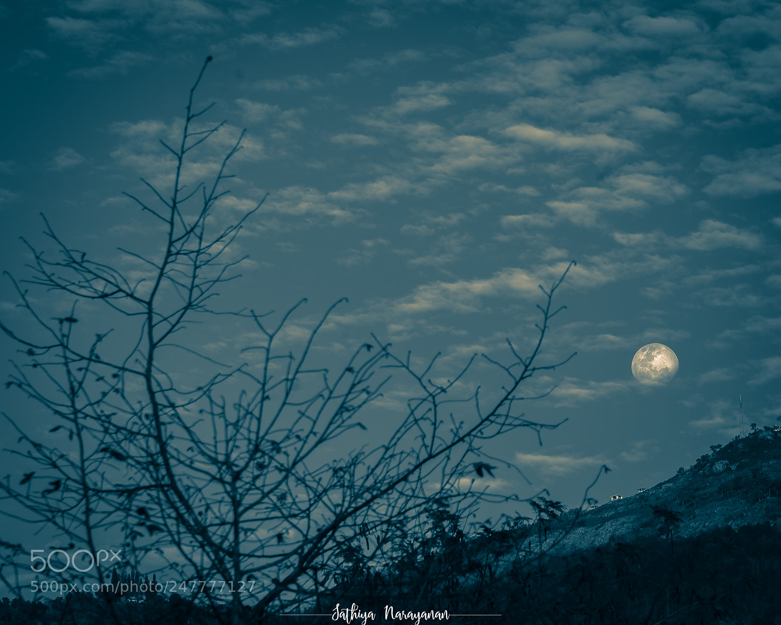 Nikon D810 sample photo. Rising moon photography