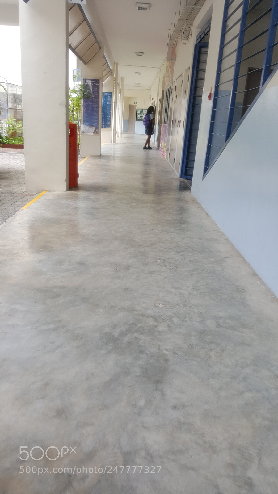 Samsung GALAXY S6 edge sample photo. Untitled photography