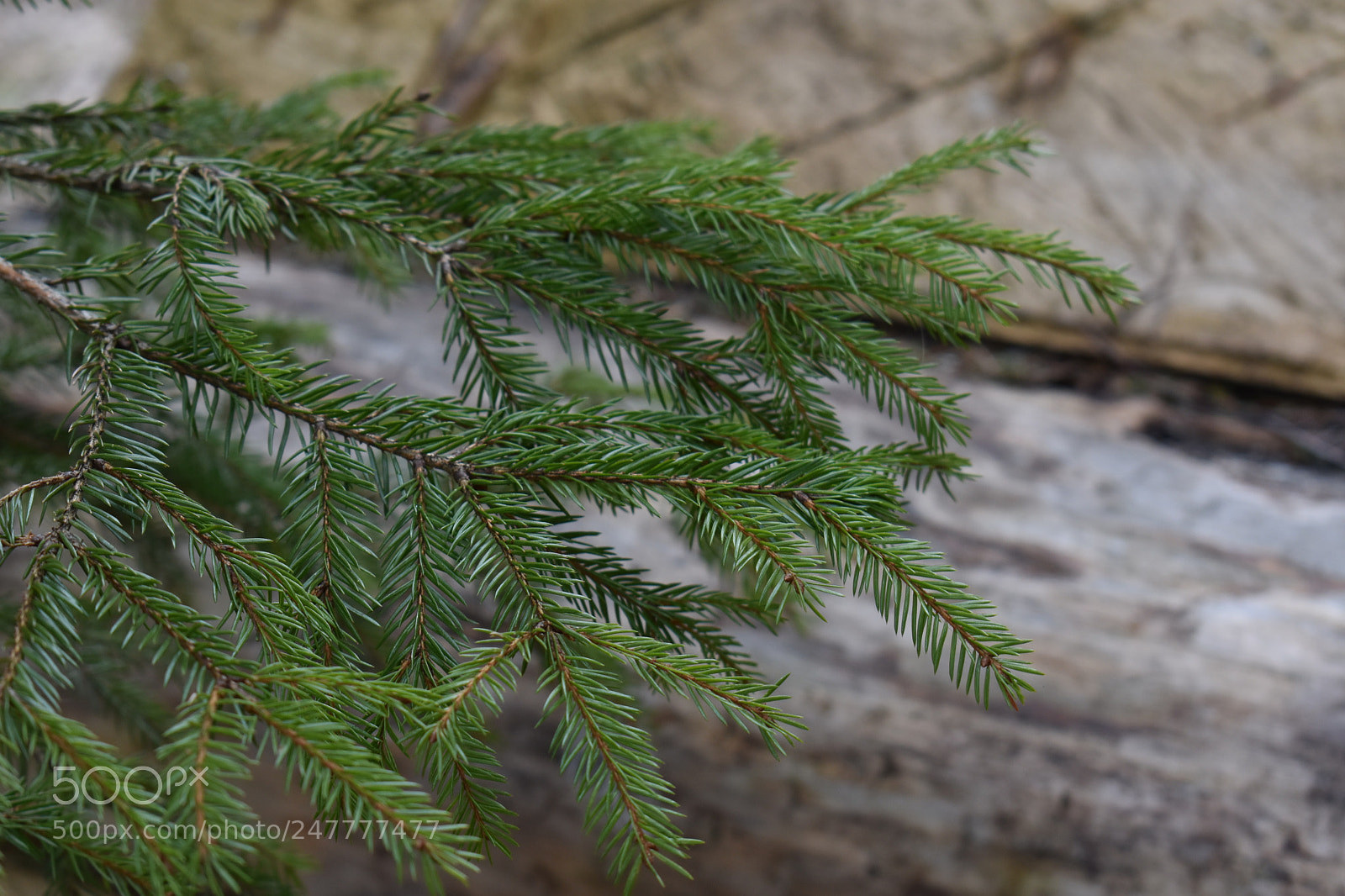 Nikon D3400 sample photo. Untitled photography