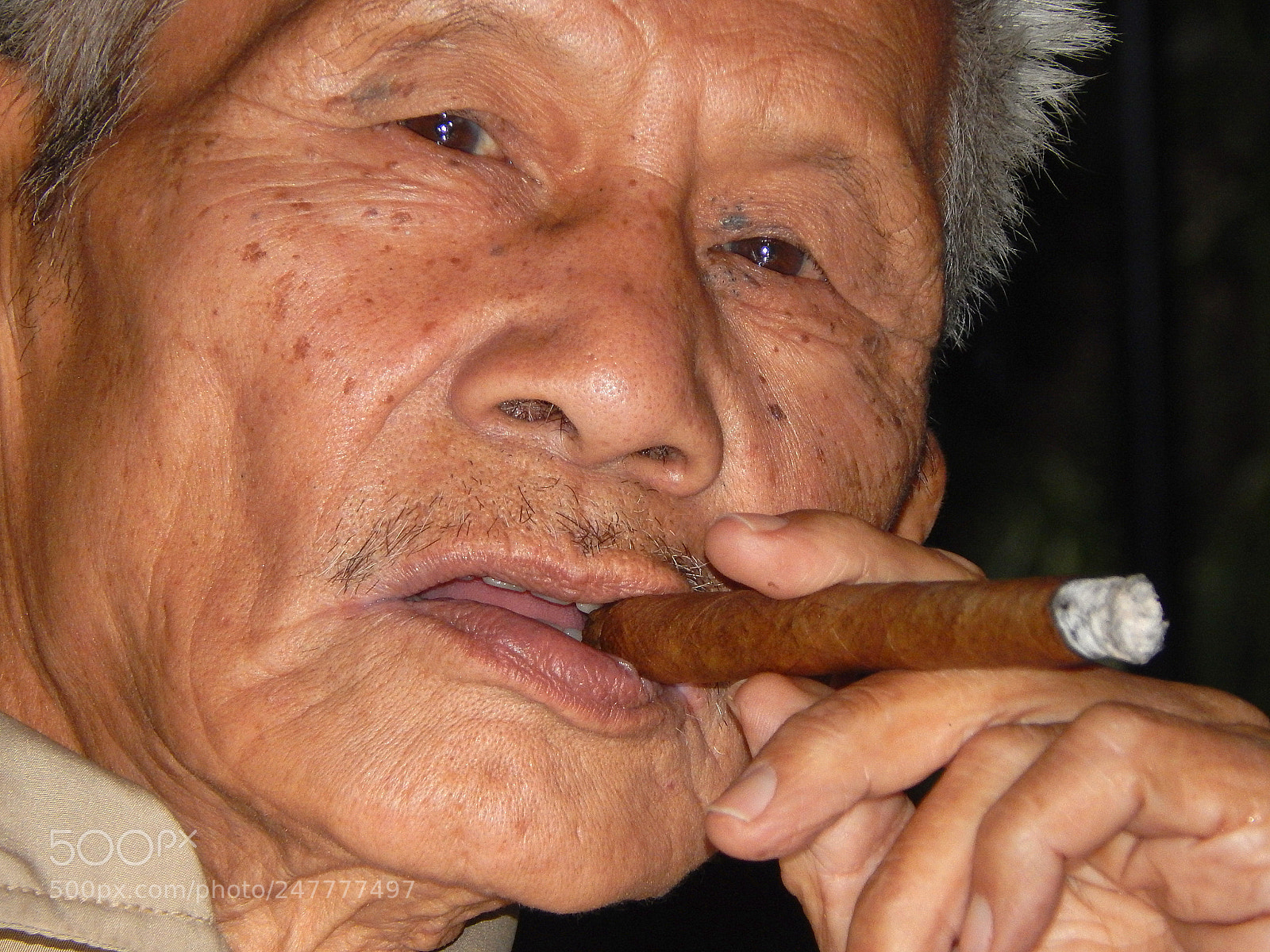 Nikon Coolpix L830 sample photo. Triaden boss photography