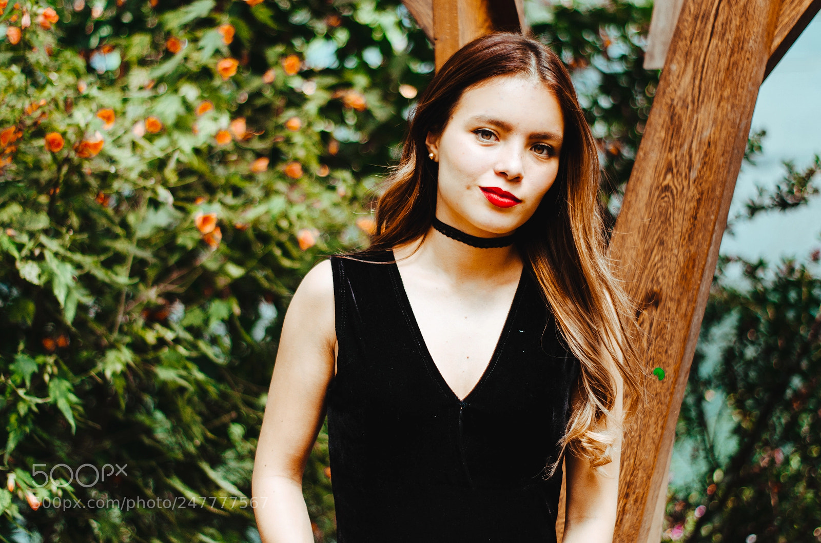Nikon D5100 sample photo. 1 photography