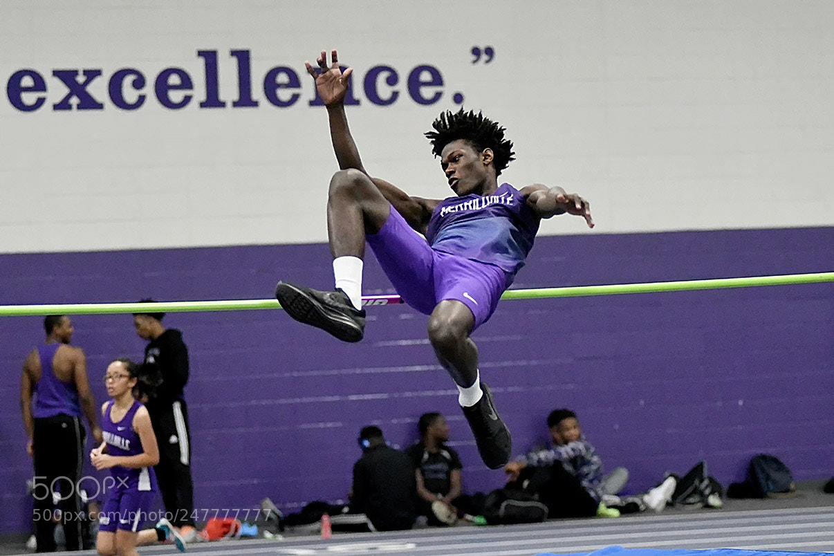 Nikon D500 sample photo. 2-26_0735.jpg photography