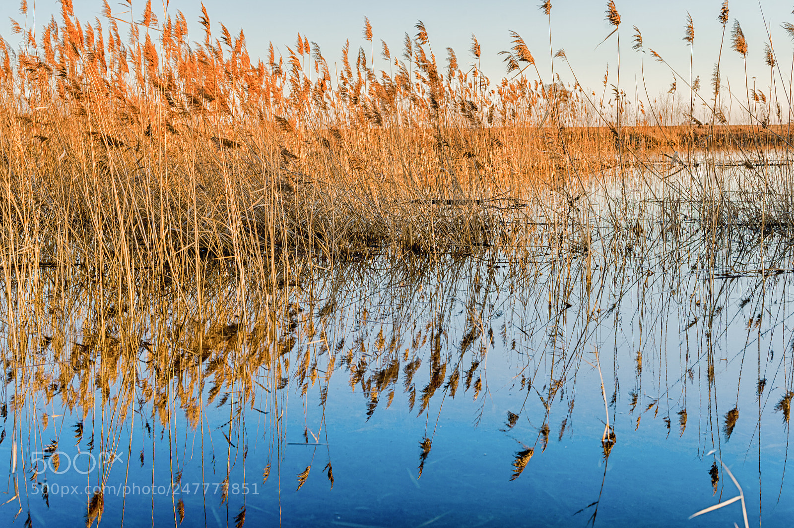 Nikon Df sample photo. Reflections photography