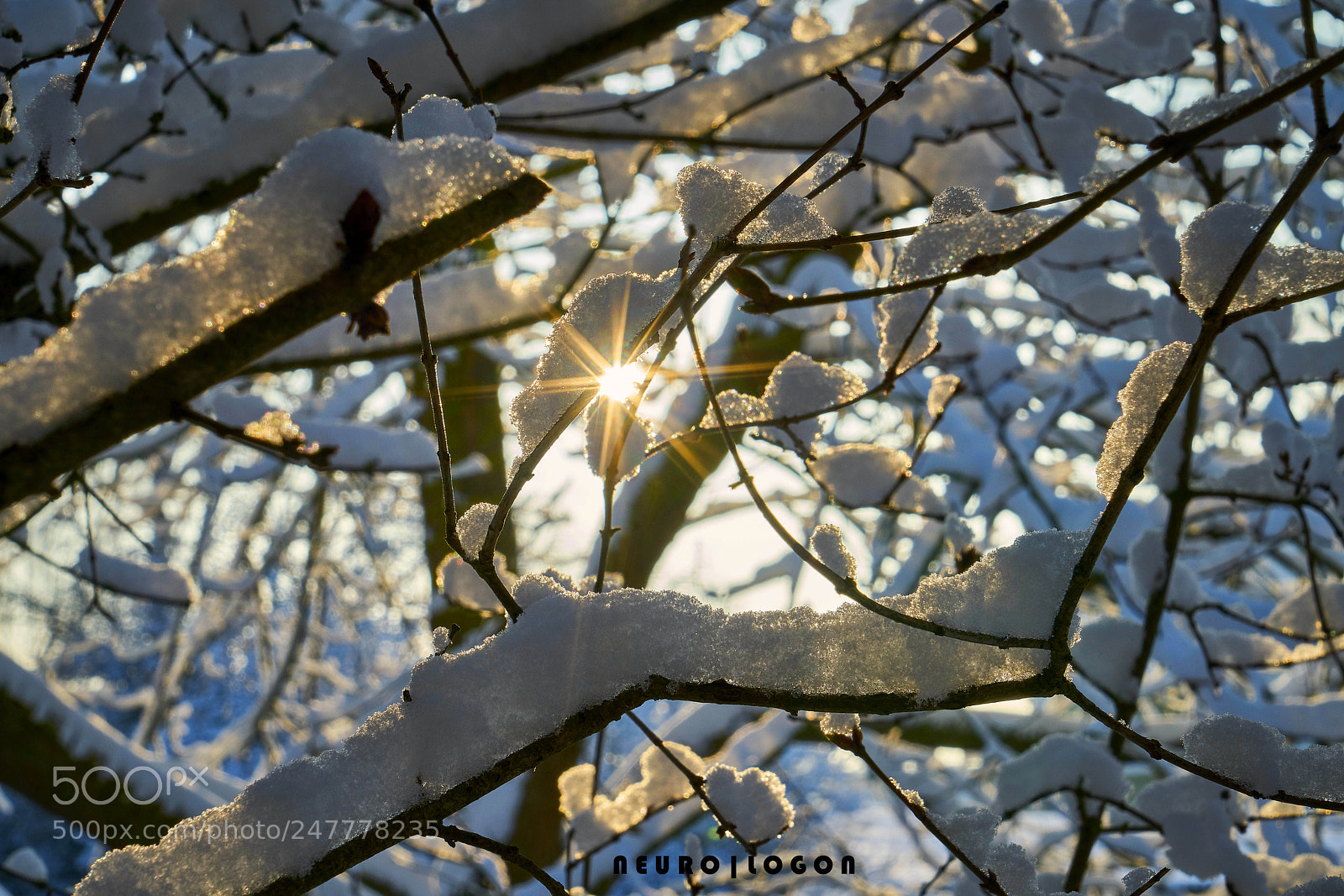 Sony a7R II sample photo. Ice photography