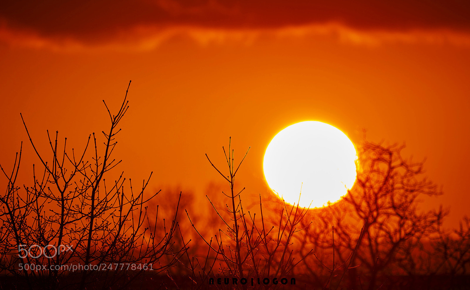 Sony a7R II sample photo. Fire and ... photography