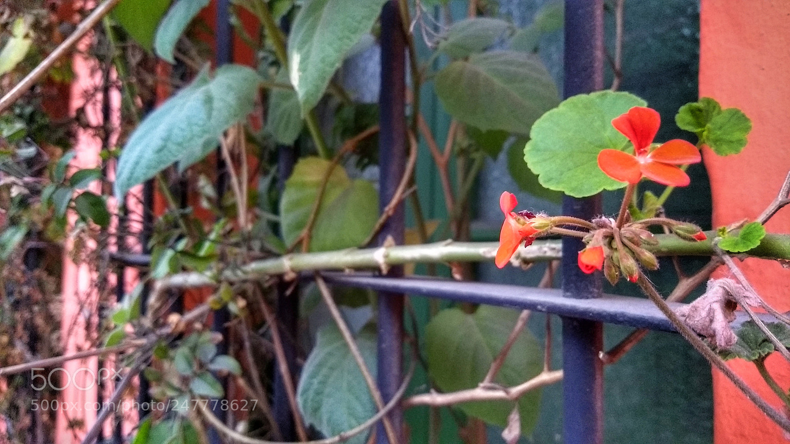 Motorola Moto G (5) Plus sample photo. Lugar inesperado photography