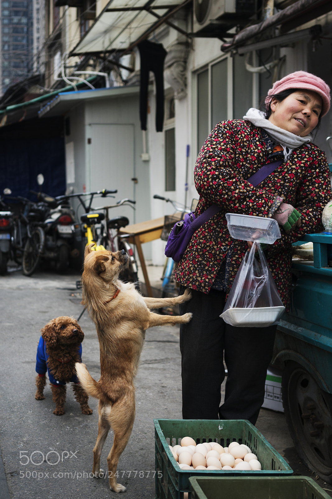 Sony a7R II sample photo. Untitled photography