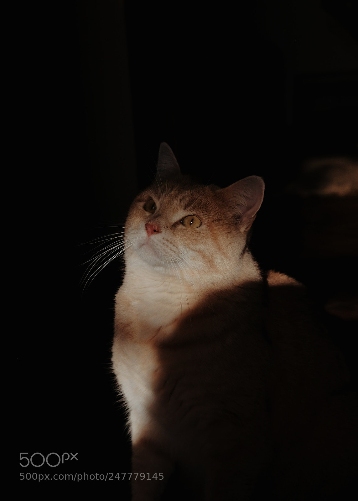 Fujifilm X-E2 sample photo. End of the day photography