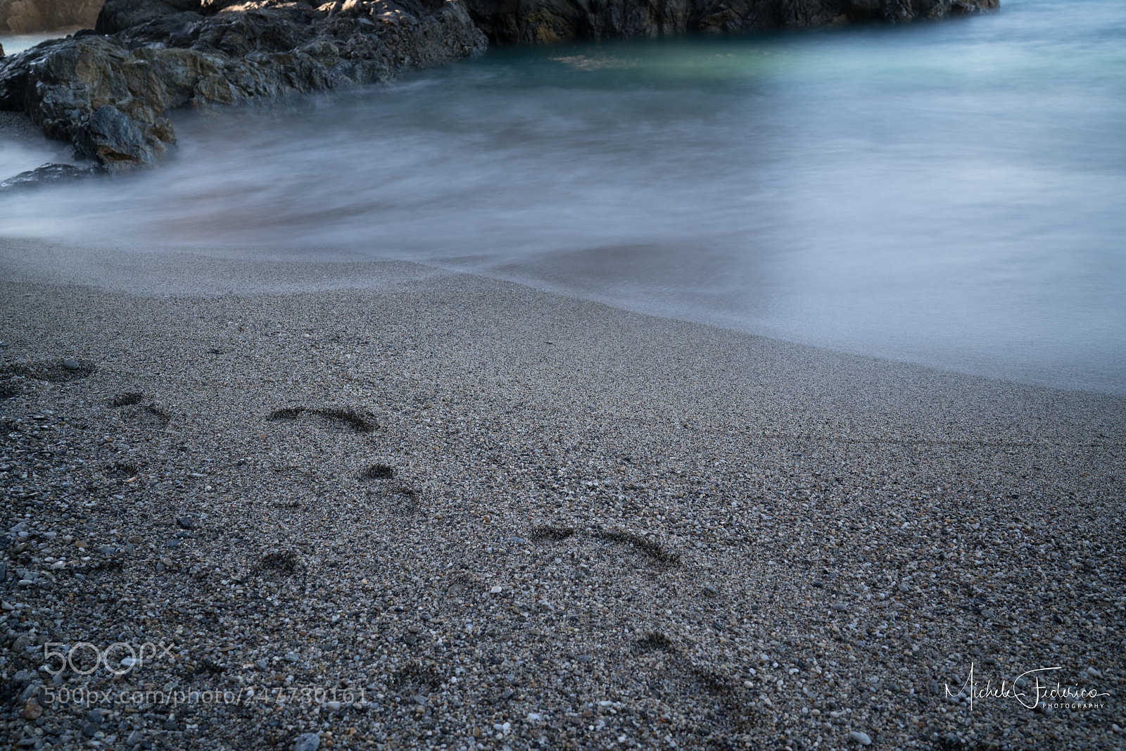 Sony a7R II sample photo. Untitled photography