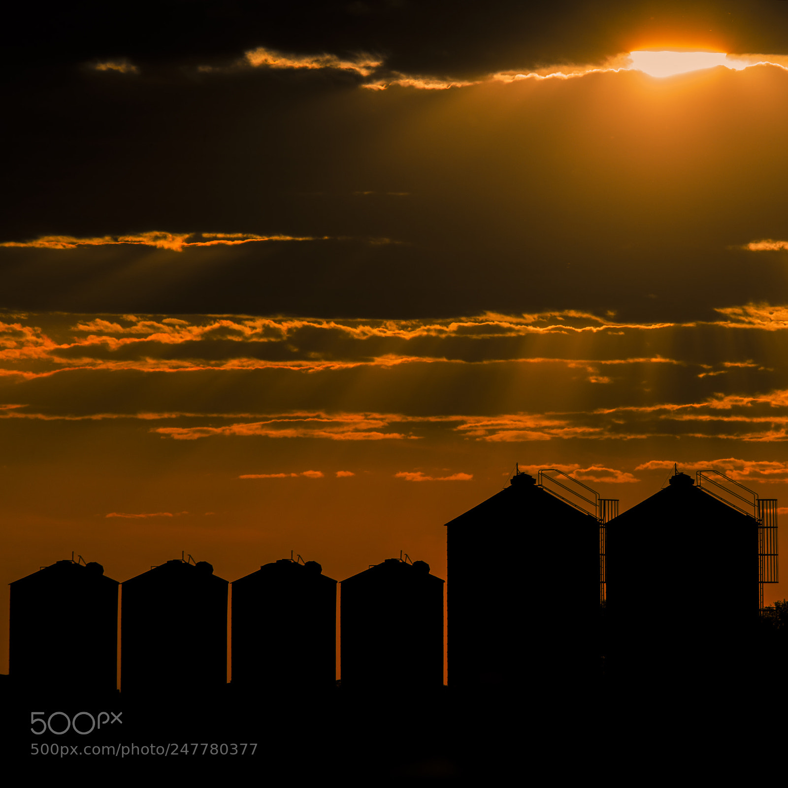 Nikon D800 sample photo. Agricultural silos, storage and photography
