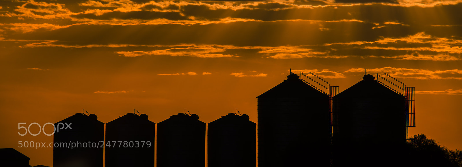 Nikon D800 sample photo. Agricultural silos, storage and photography
