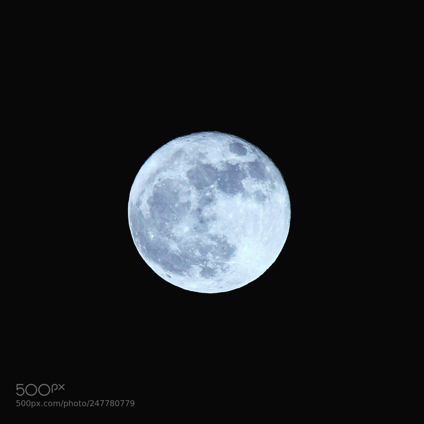 Canon EOS 550D (EOS Rebel T2i / EOS Kiss X4) sample photo. Super moon photography