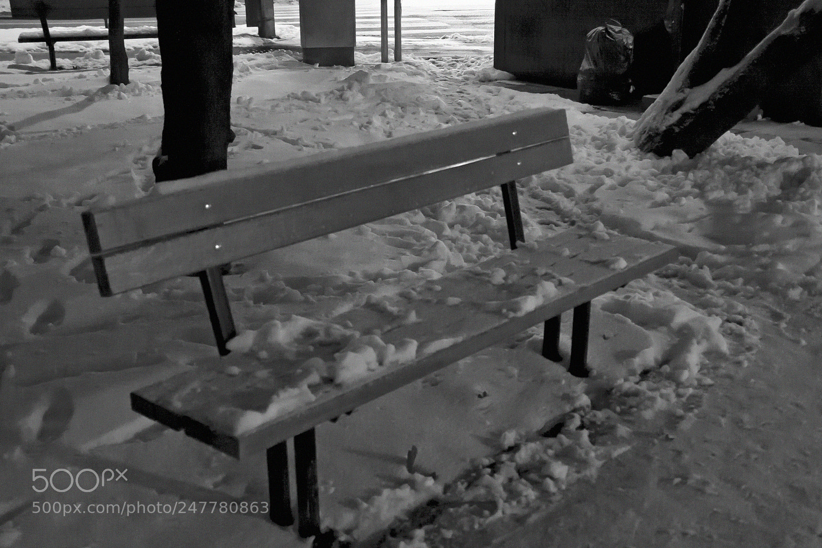 Canon EOS 40D sample photo. While you were sleeping photography