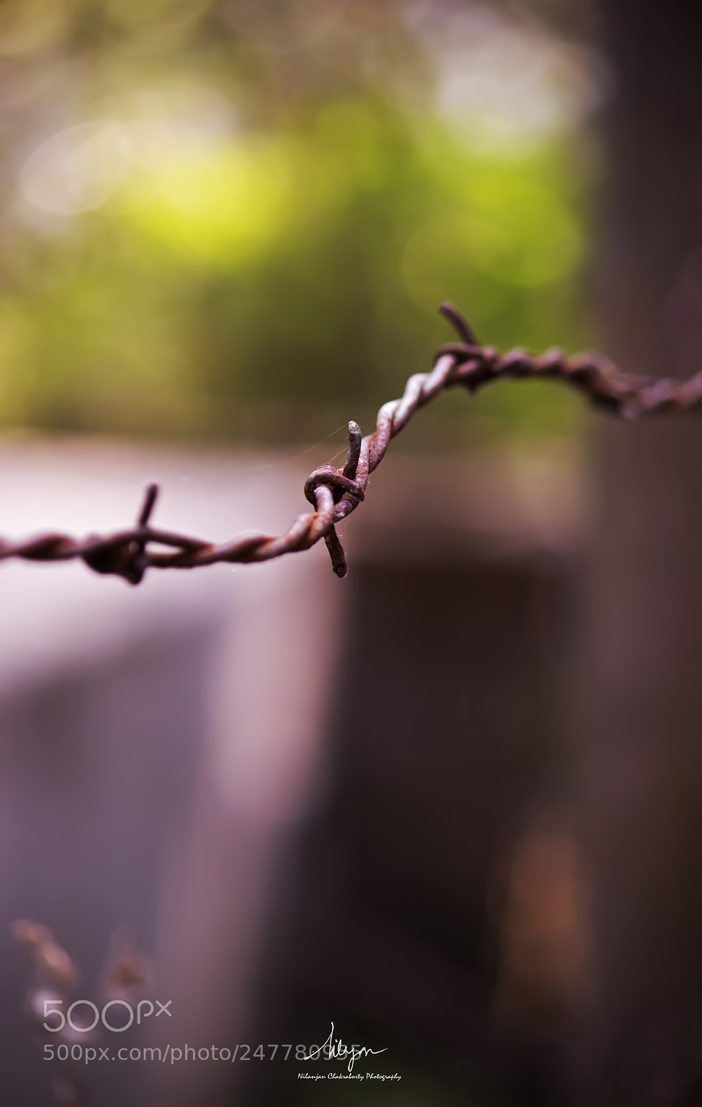 Canon EOS 700D (EOS Rebel T5i / EOS Kiss X7i) sample photo. Depth of field photography