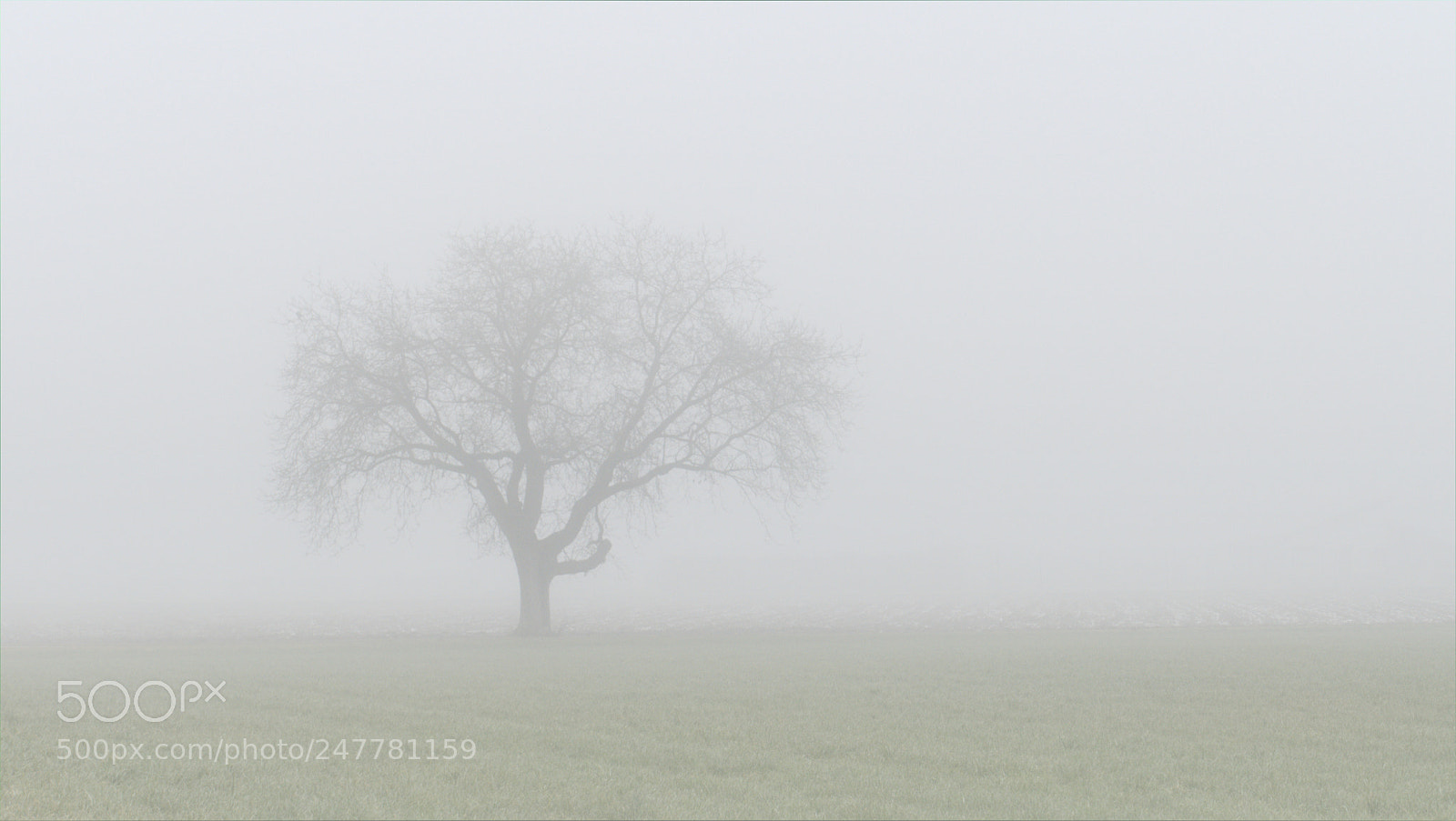 Panasonic Lumix DMC-FZ1000 sample photo. Lost in the mist photography