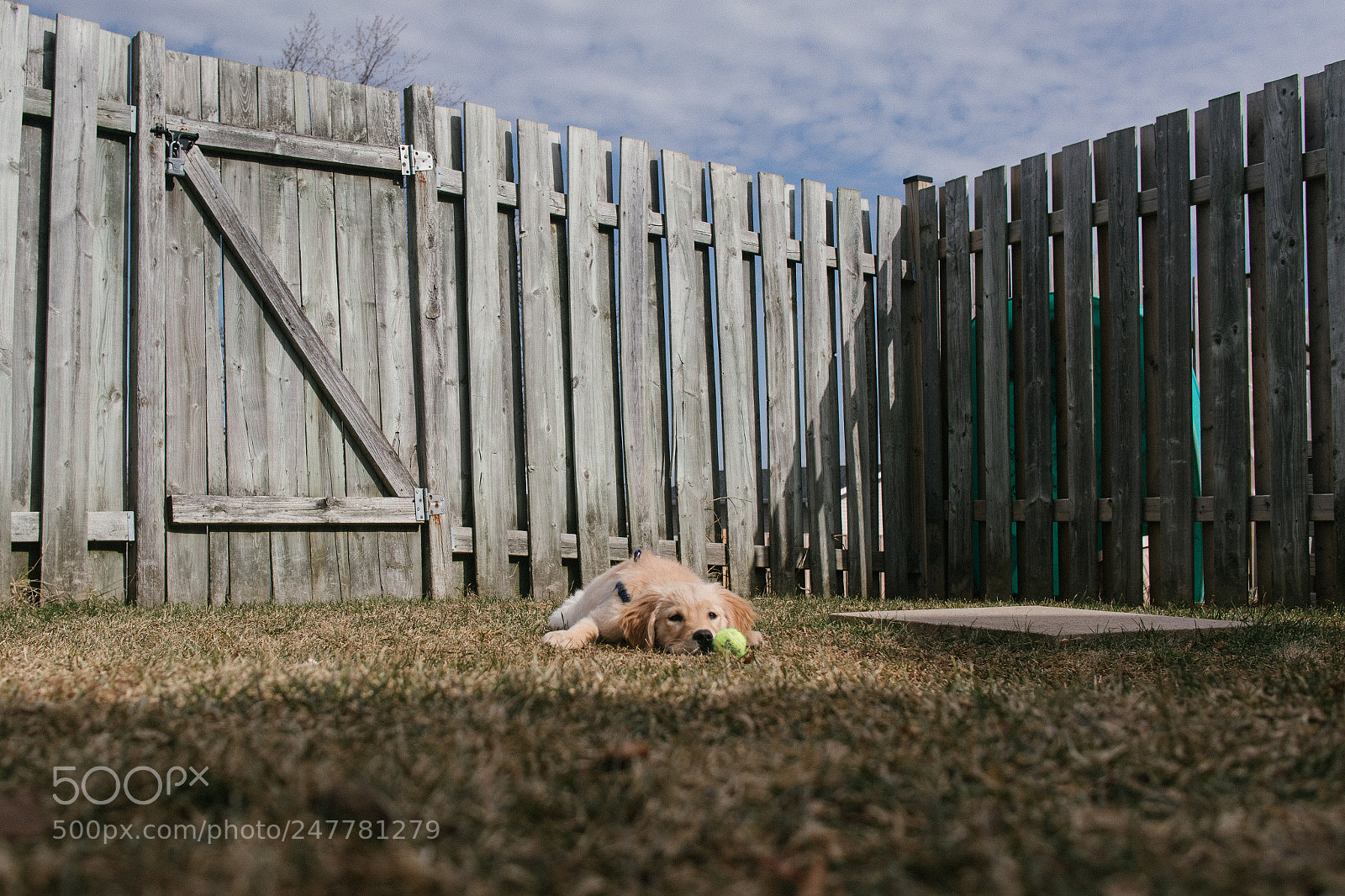 Canon EOS M100 sample photo. Img photography