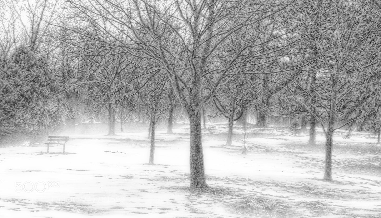 Nikon D3300 sample photo. Snowy mist photography